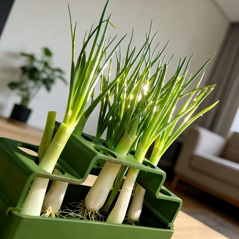 Boîte de culture hydroponique pour la repousse de plantes