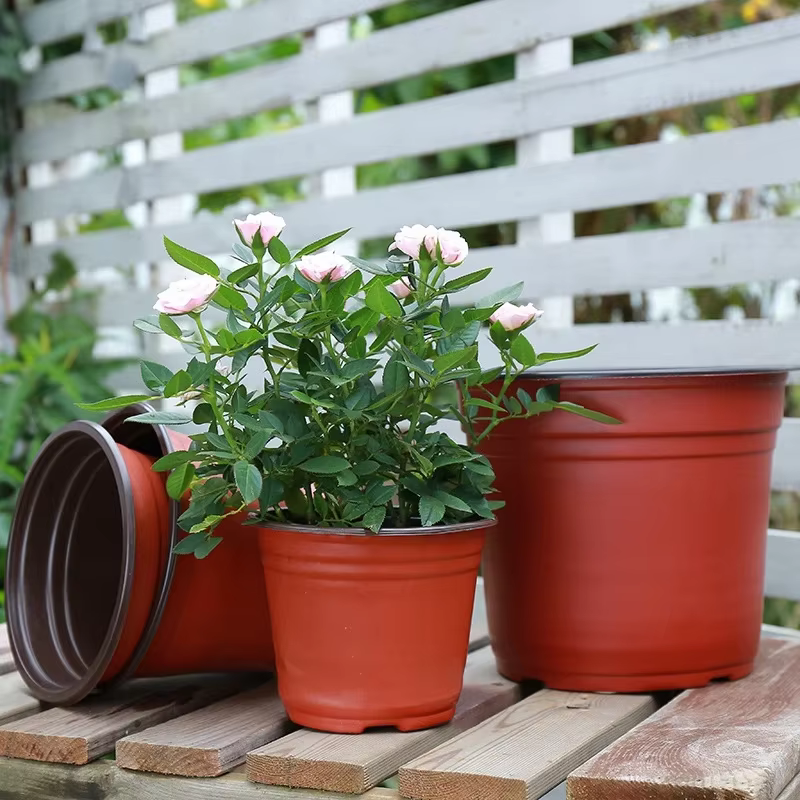 Pots de fleurs en plastique simples