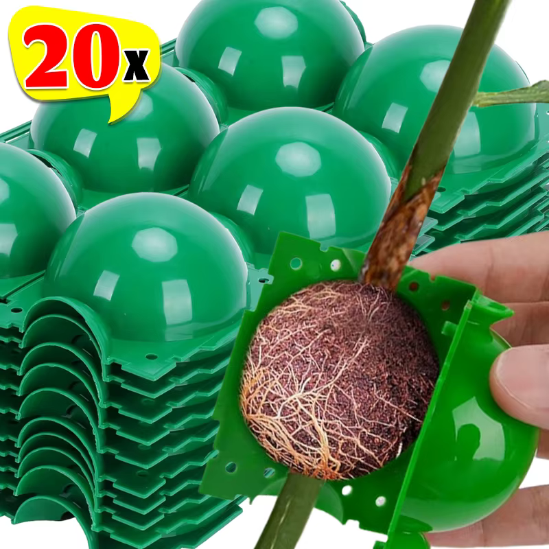 Boule d'enracinement pour plantes