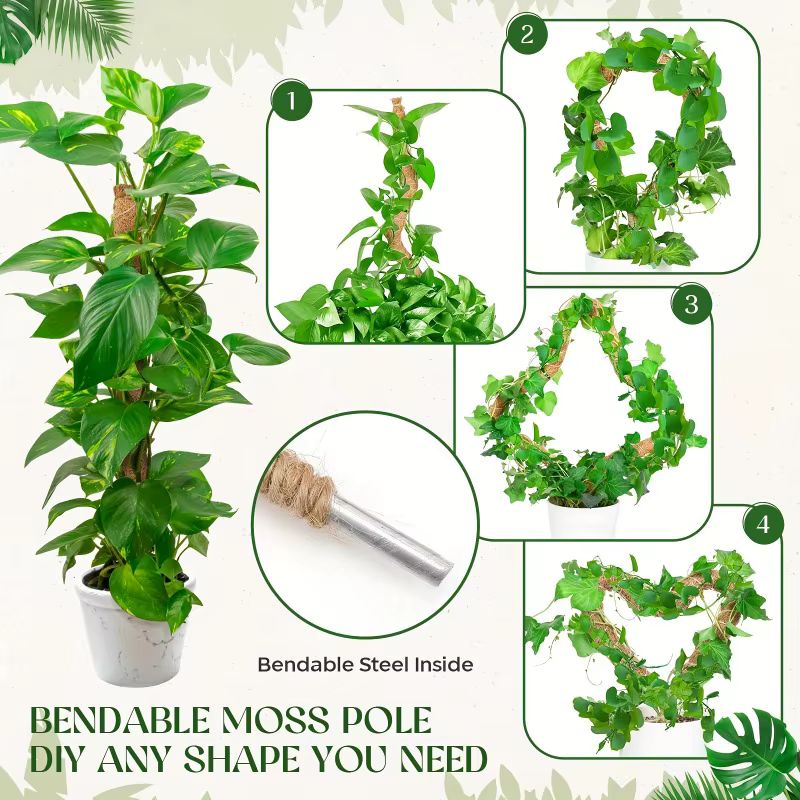 Support de plante grimpante en forme de bâton de palmier de coco