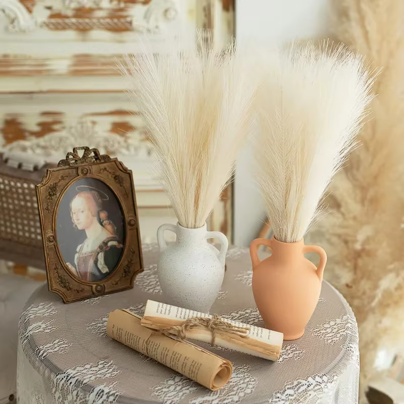 Pampa moelleux pour la décoration de la maison