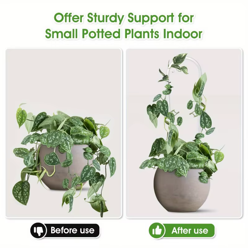 Support de plante en acrylique en forme de U de qualité supérieure