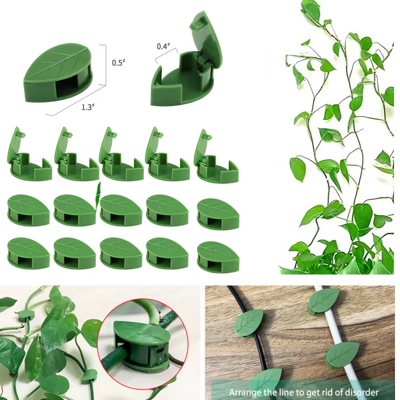 Fixation murale Invisible pour plantes grimpantes