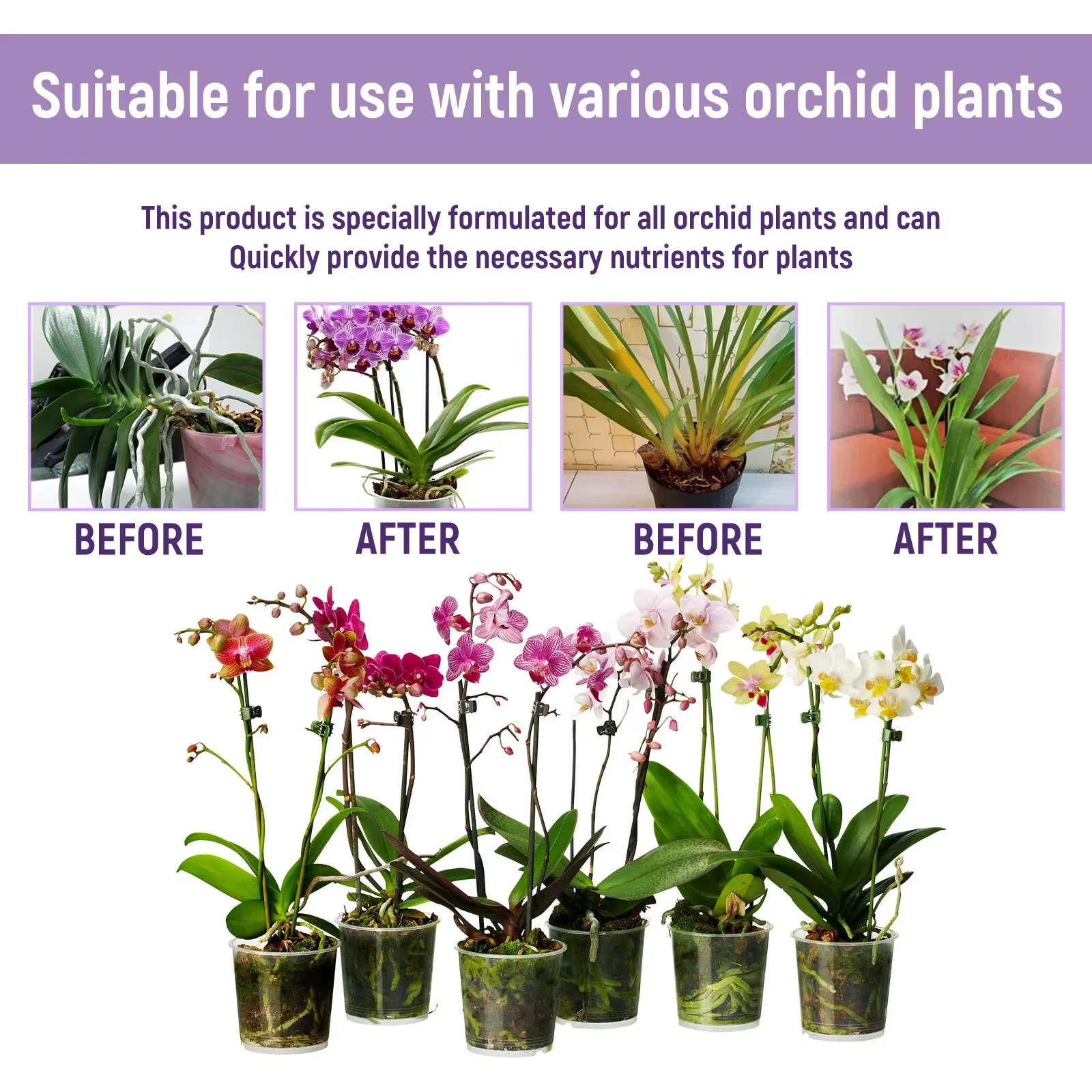 Engrais liquide spécial pour fleurs d'orchidées