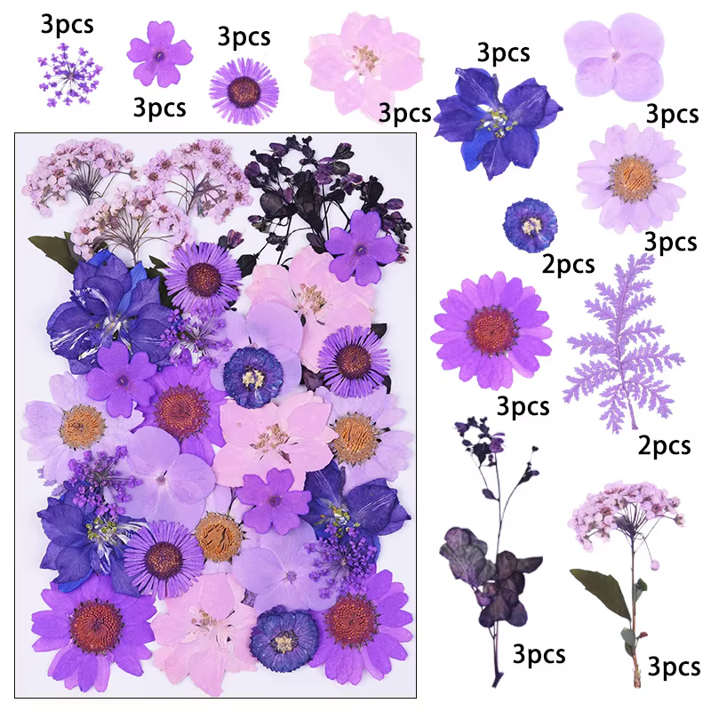 1 paquet de 34 à 40 fleurs séchées