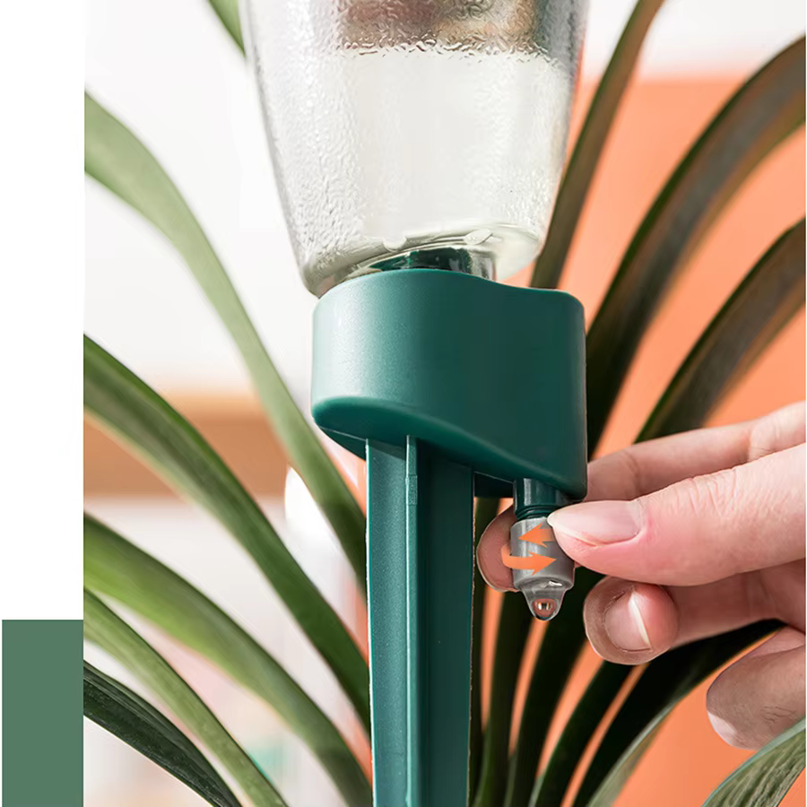 Boules d'arrosage pour plantes vertes avec bouteille
