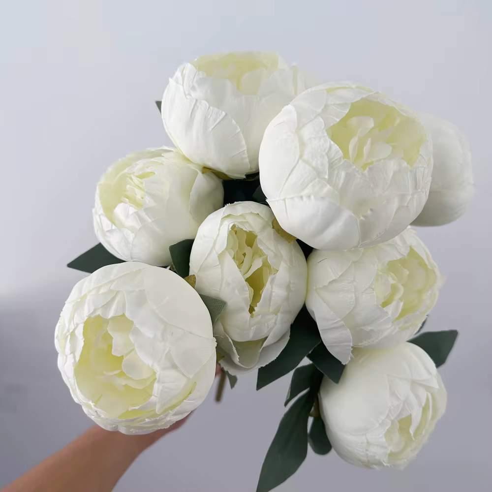 Pivoine blanche avec boutons de fleurs