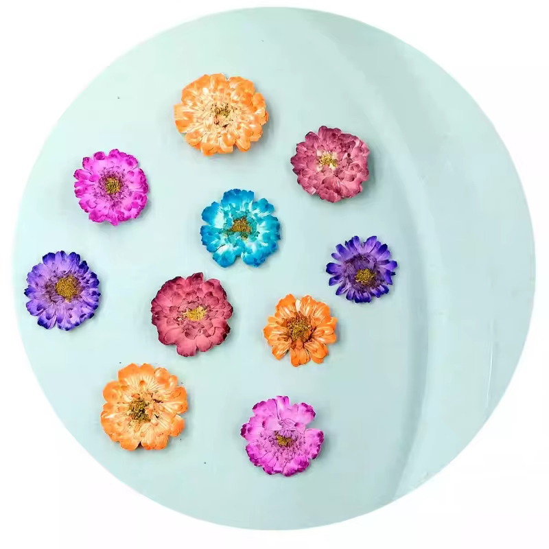 12 pièces/1-2 cm, mini fleurs séchées de marguerite et de camomille pressées