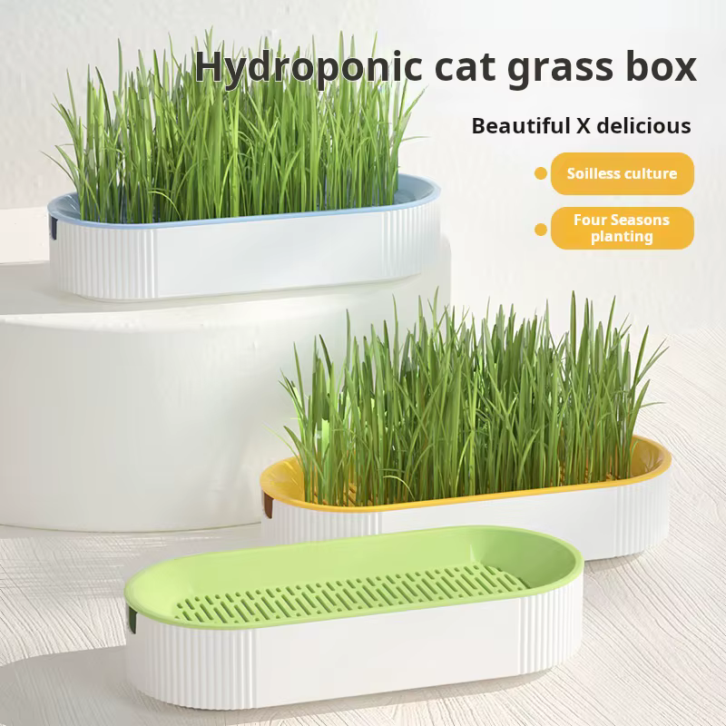 Boîte d'herbe hydroponique pour chat