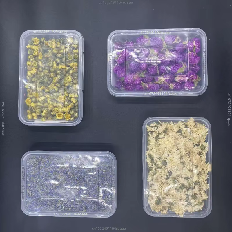 Fleurs séchées de jasmin et de rose naturelles de haute qualité pour la décoration de fêtes