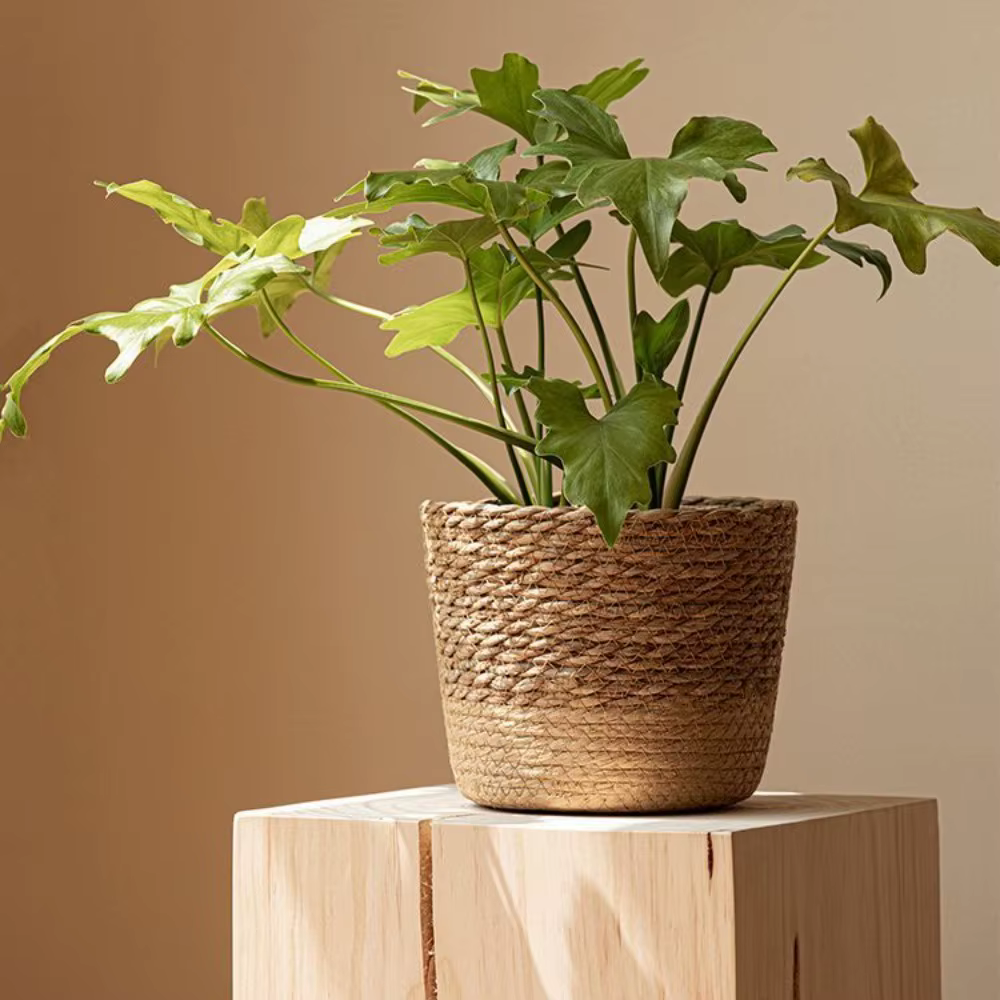 Pot de plantes de fleurs tissées en paille