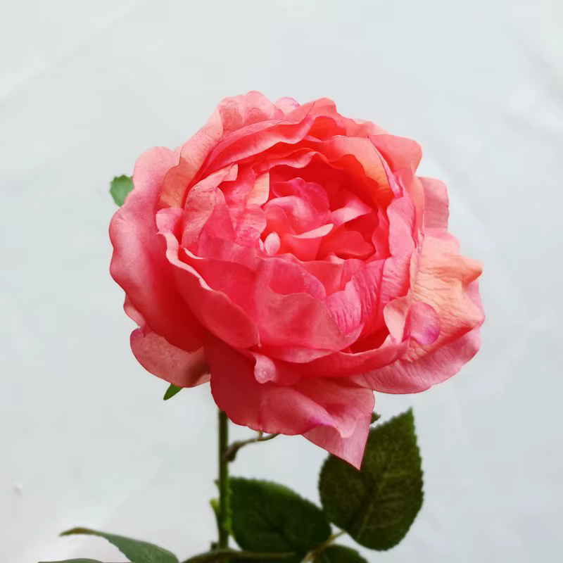 Fleurs de pivoines artificielles nouvelle collection hydratant toucher réel décoration de maison salon fête de mariage