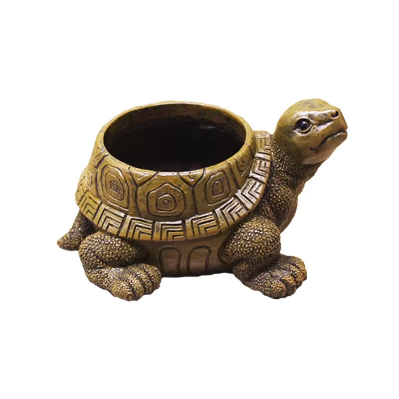Pot de fleur succulente tortue de dessin animé