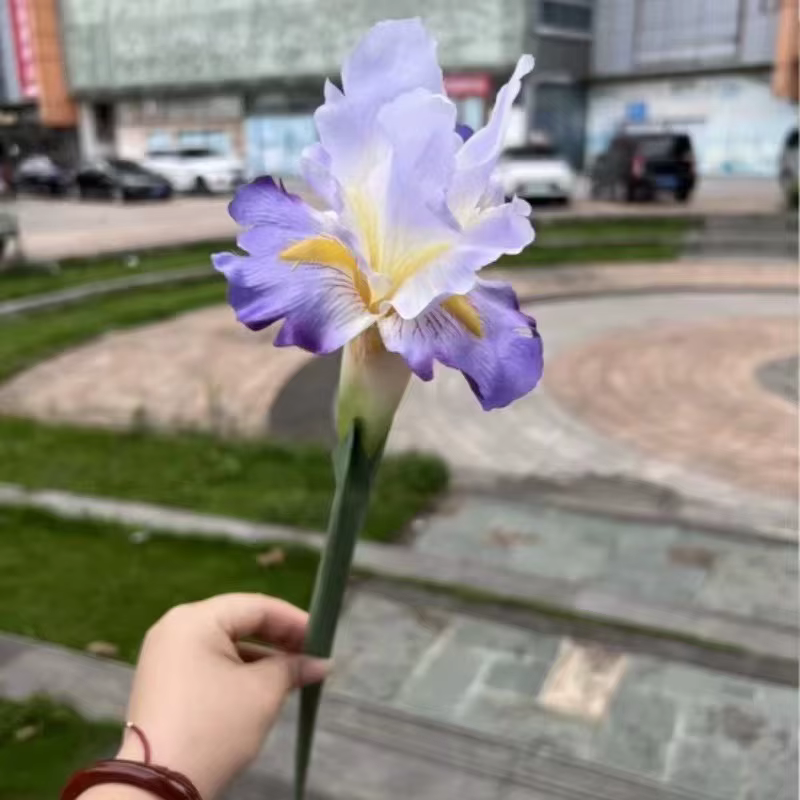 Branche de fleur d'iris artificielle