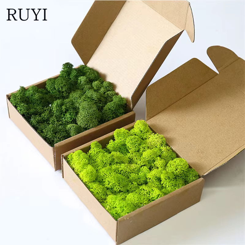 Mousse de plantes artificielles pour la décoration murale de la maison