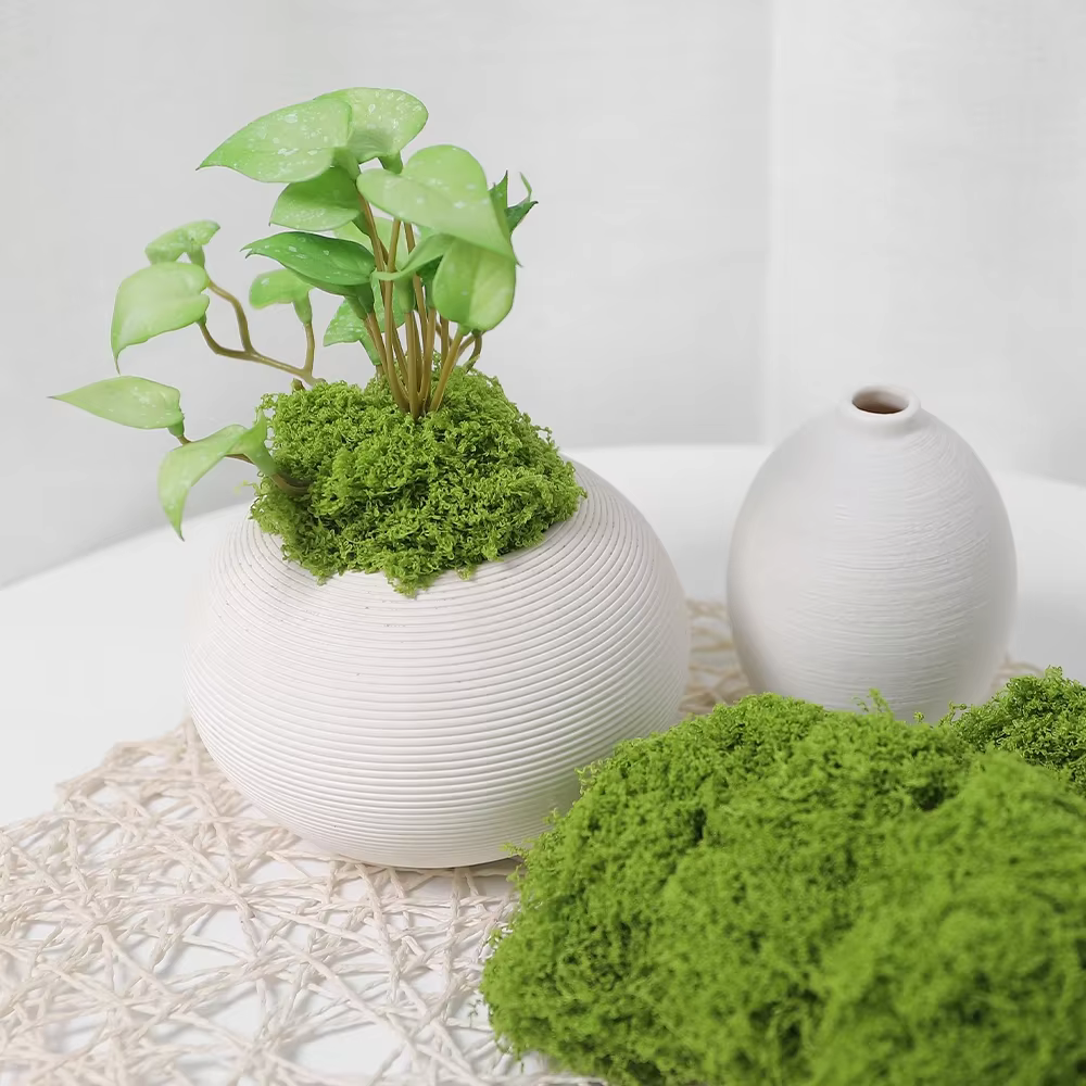 30/50/100g plantes vertes artificielles mousse herbe maison salon jardin décoration Mini paysage fausse fleur bricolage artisanat