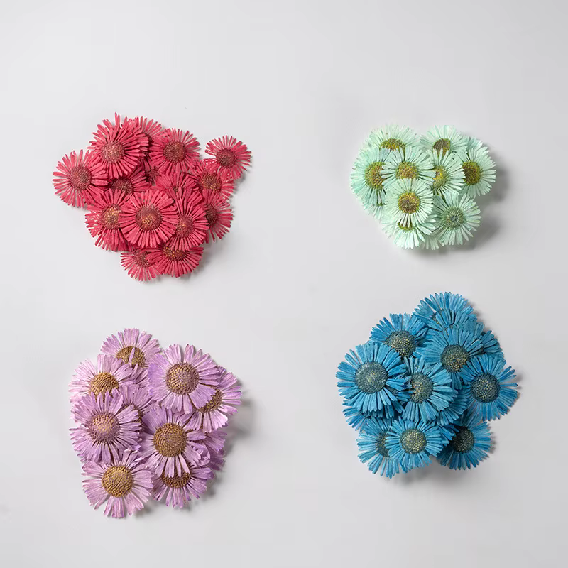 Fleurs de chrysanthème séchées pressées de 2-3 cm pour la fabrication de décorations DIY