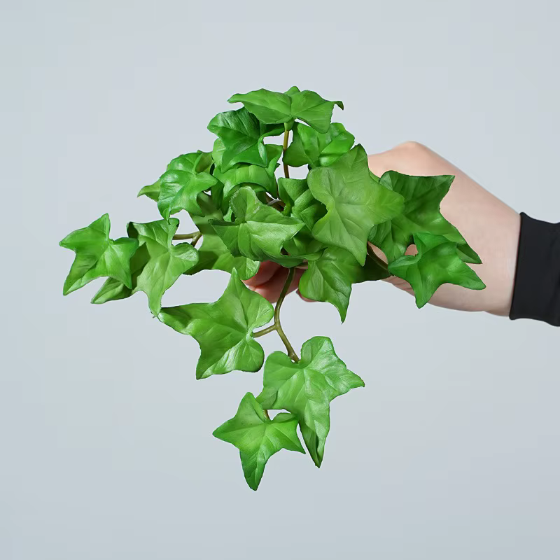 Simulation de plante de trèfle