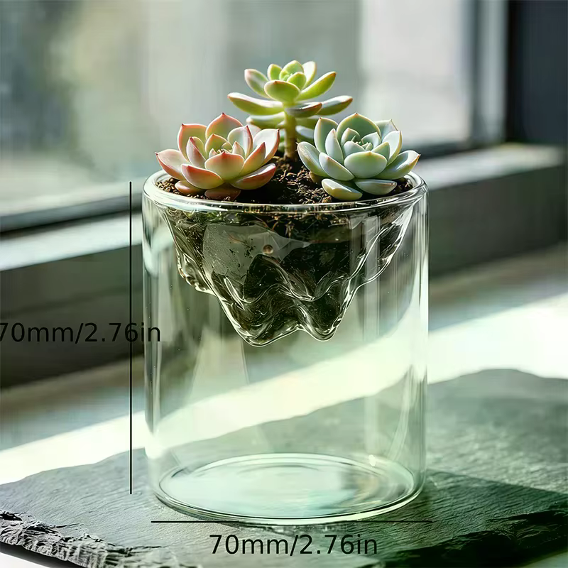 Terrarium en verre pour vues sur les montagnes