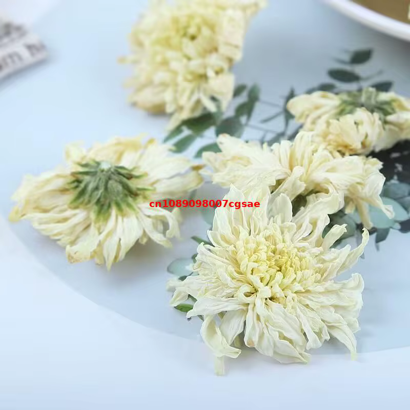Fleurs séchées de chrysanthème blanc de haute qualité