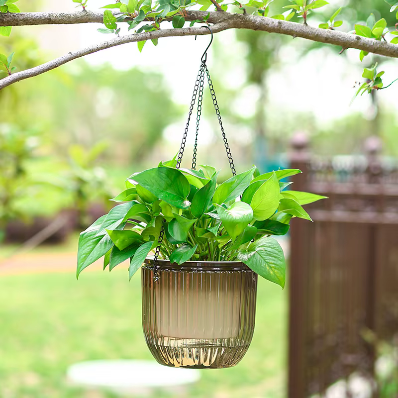 Panier suspendu Transparent
