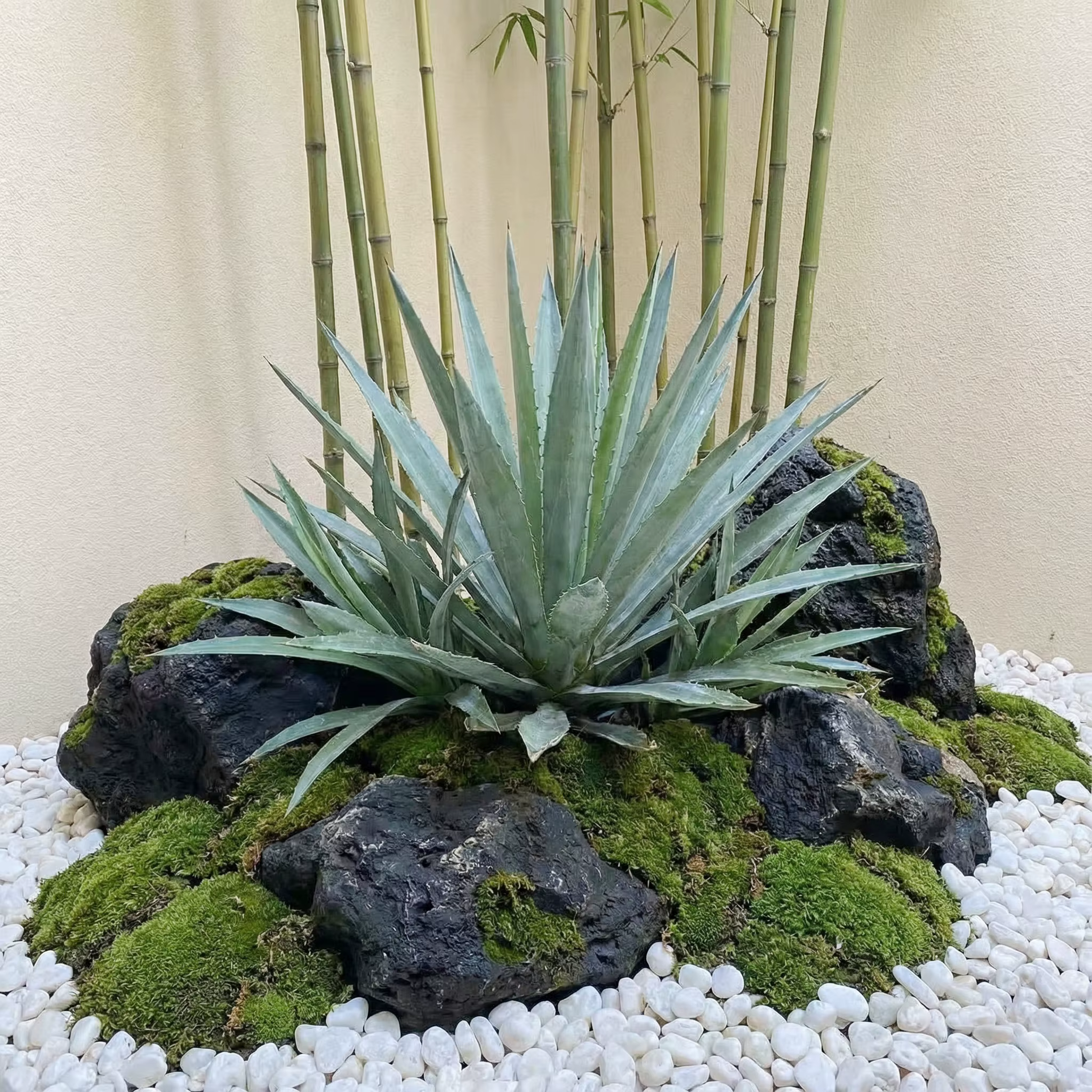 Plante artificielle à Faux aloès