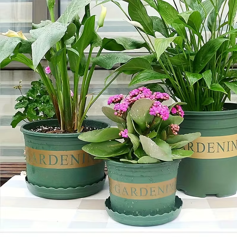 4 plateaux pour pots de fleurs