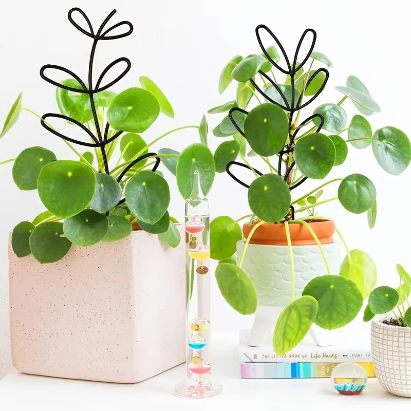 Support de plante en 3 parties
