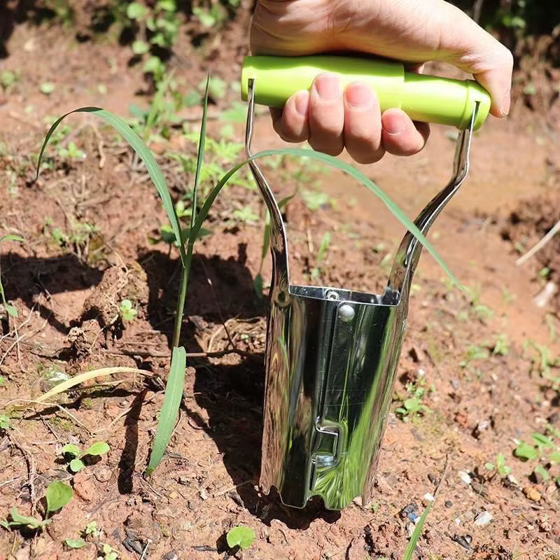 Transplanteur multifonctionnel pour semis
