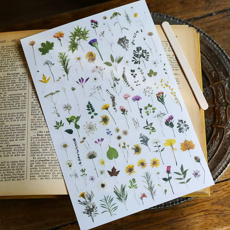 Plante feuilles fleur frotter sur autocollants esthétique Scrapbooking Journal déco transfert autocollant Album