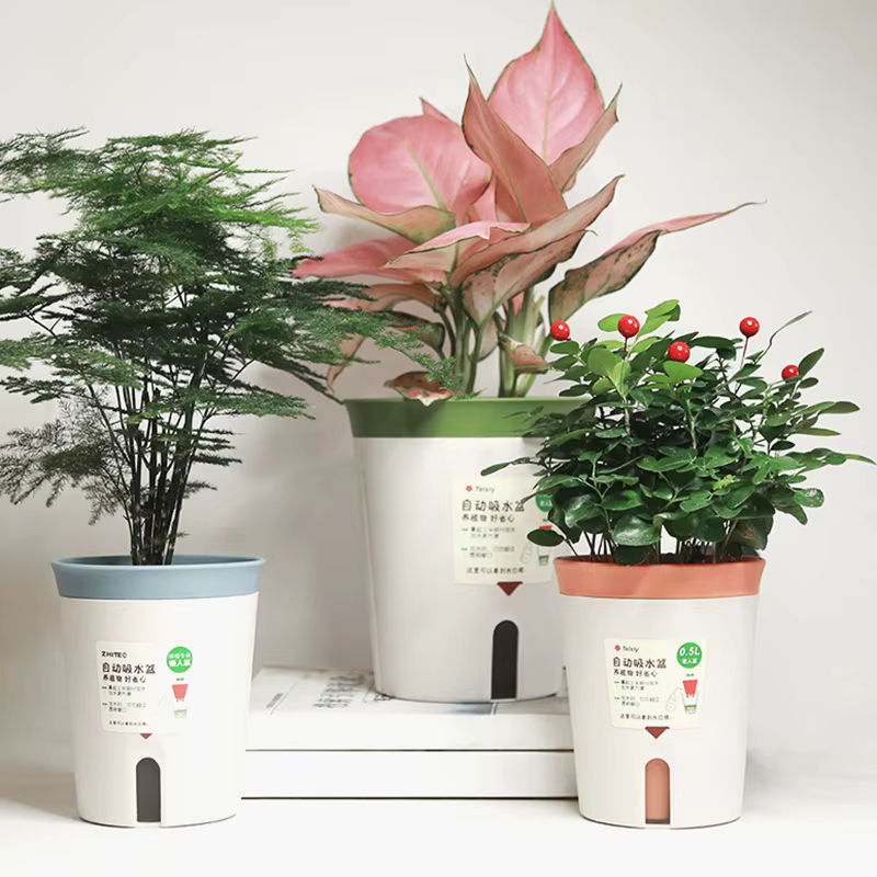 Pot de fleur hydroponique à Double couche