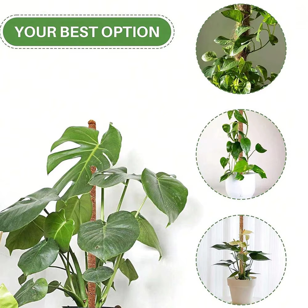 Poteau en mousse pour plantes