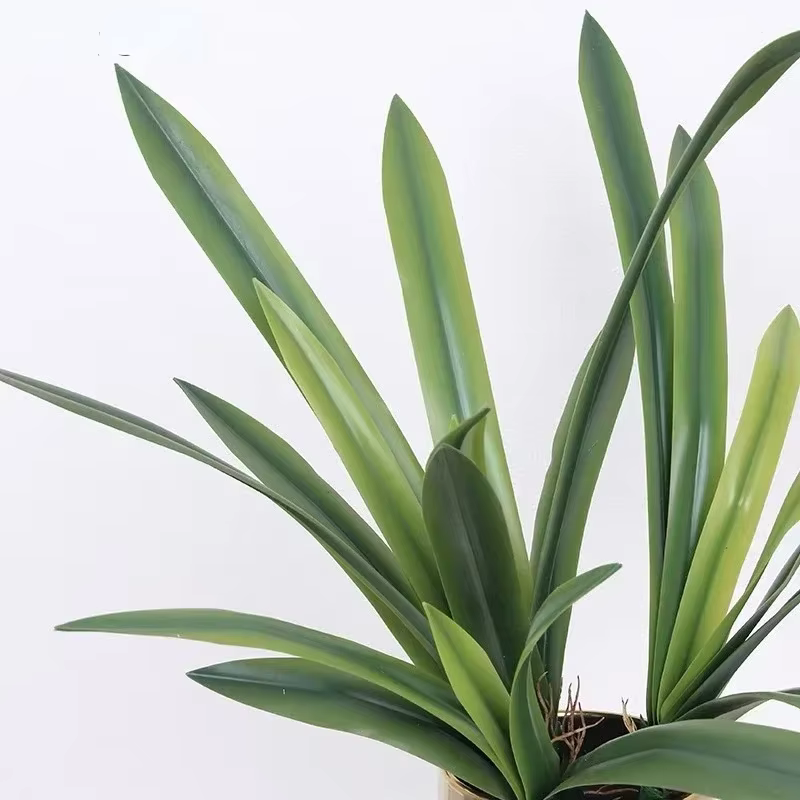 Feuilles de clivia artificielles plantes vertes