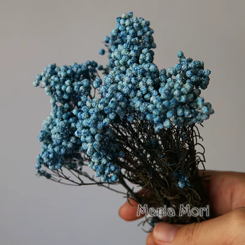 Fleur de Millet de riz