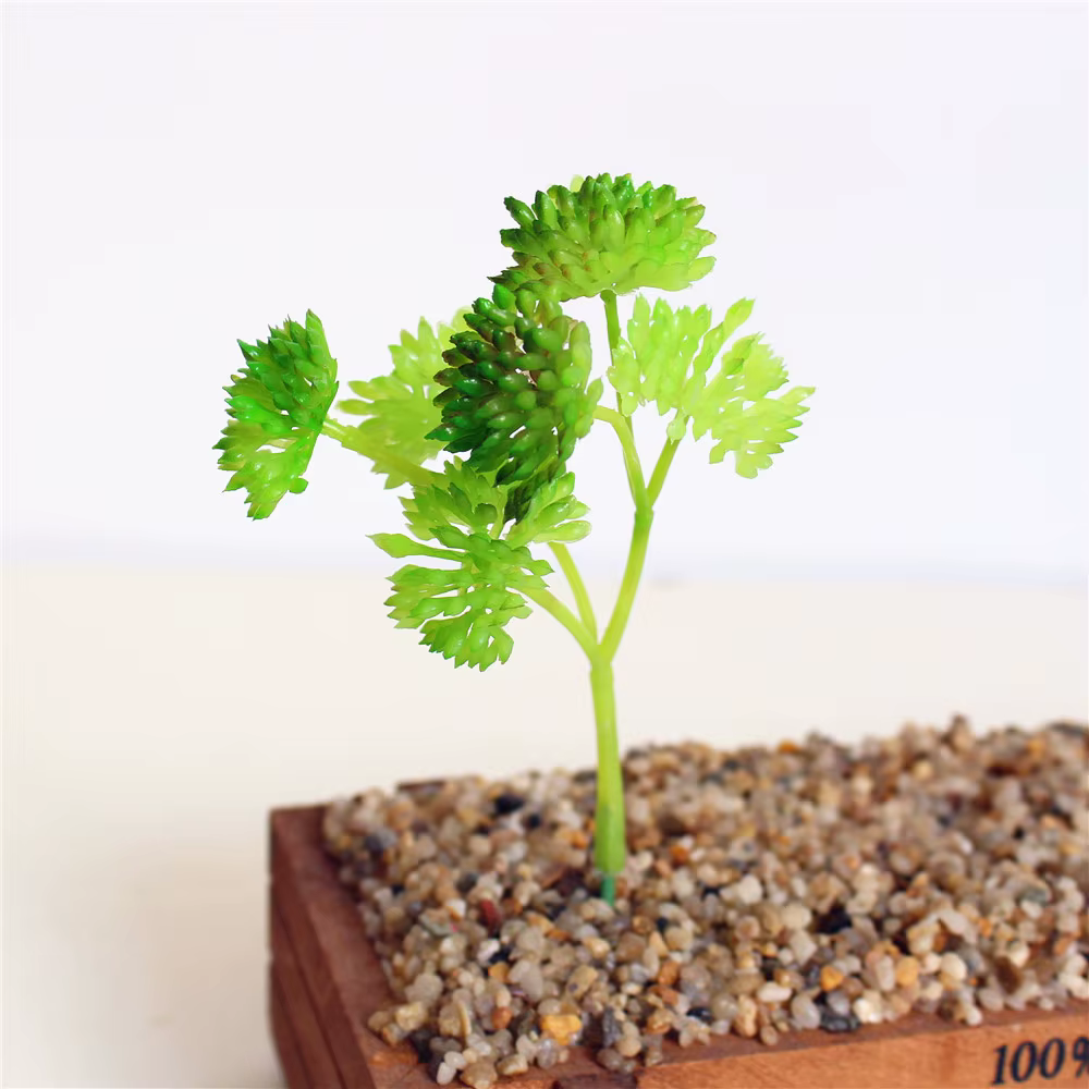Mini plantes succulentes