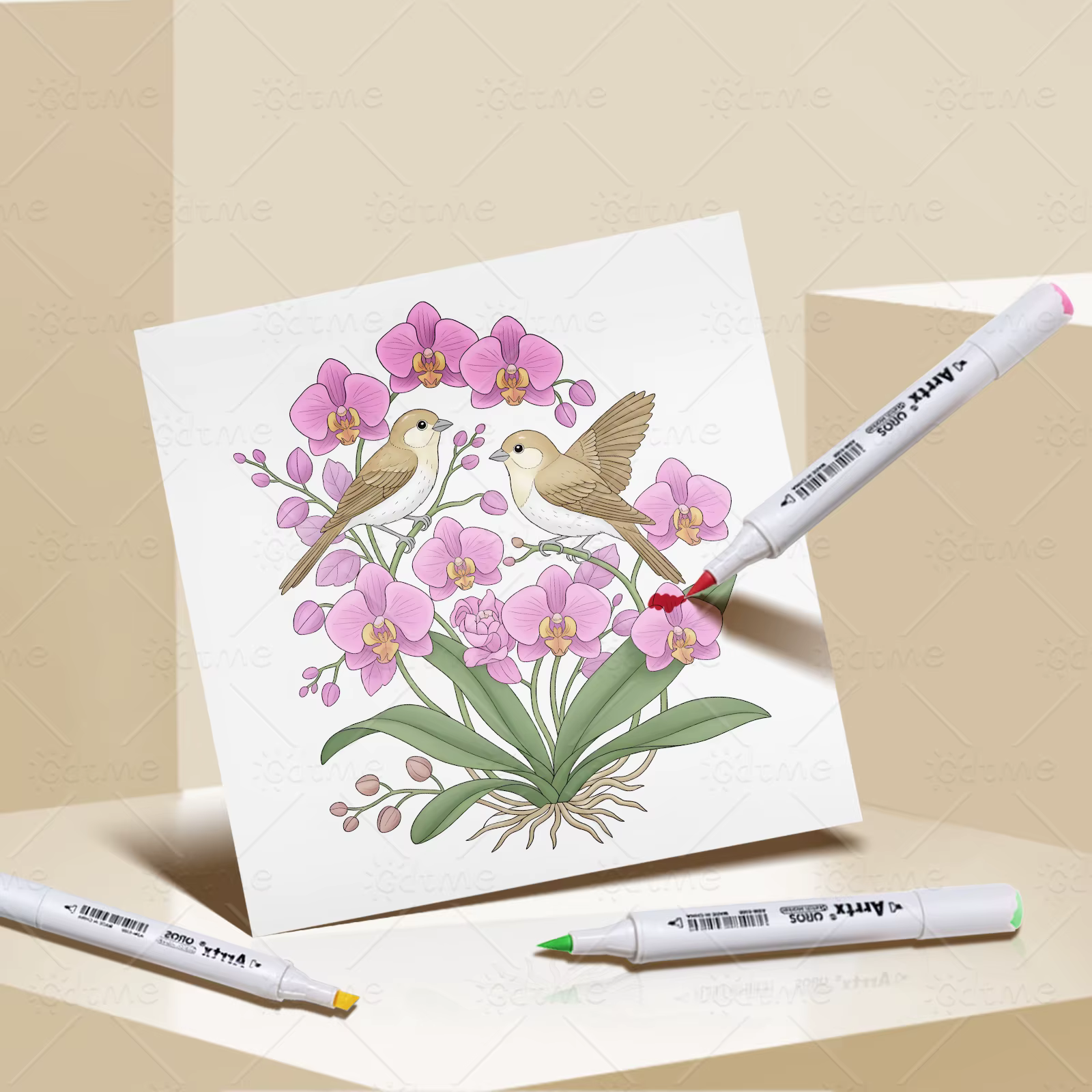 Livre de coloriage oiseaux et fleurs pour adultes et adolescents, avec des activités quotidiennes mignonnes et confortables pour la relaxation (Coloriage Cozy Spaces)
