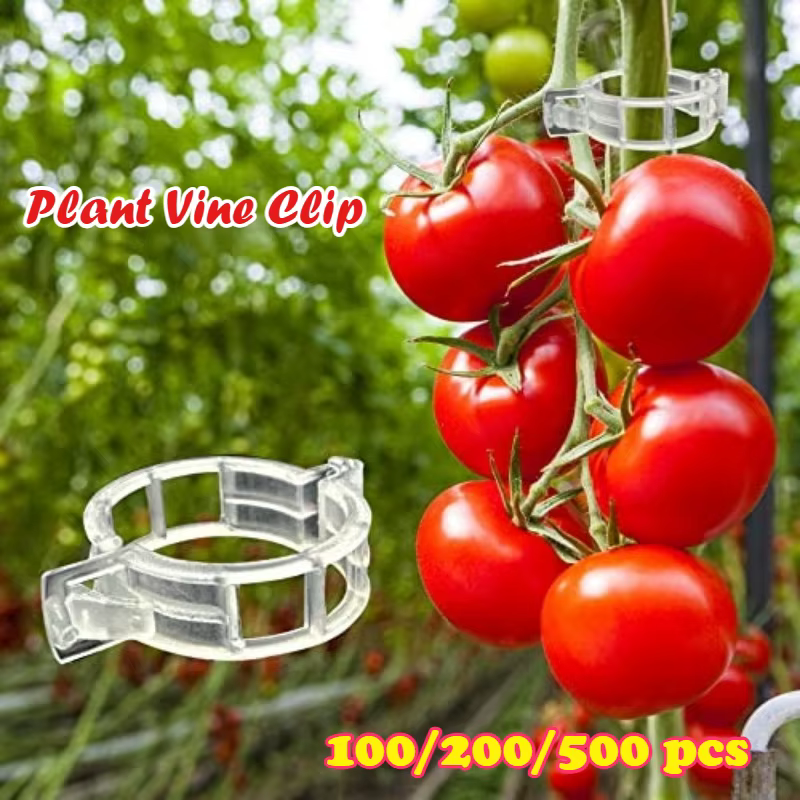 Clip de vigne pour plantes 100/200/500