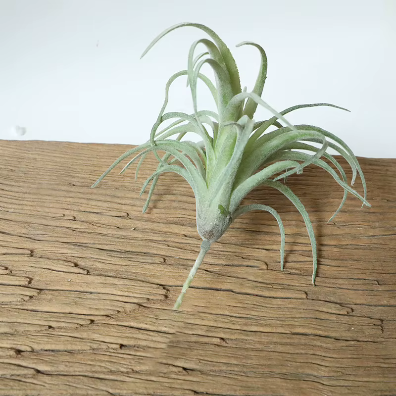 Faux Bromeliads floqués verts artificiels