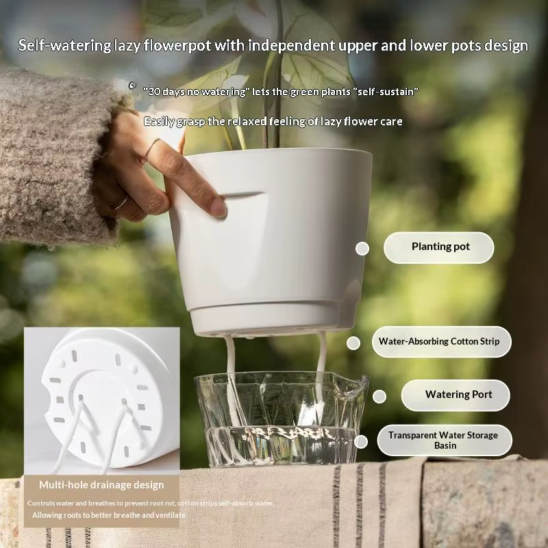 Nouveaux pots auto-arrosants pour plantes d'intérieur