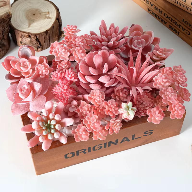 Diverses plantes succulentes artificielles tropicales