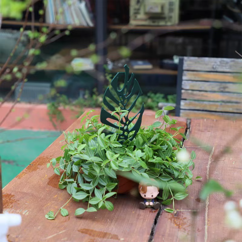Support d'escalade pour plantes