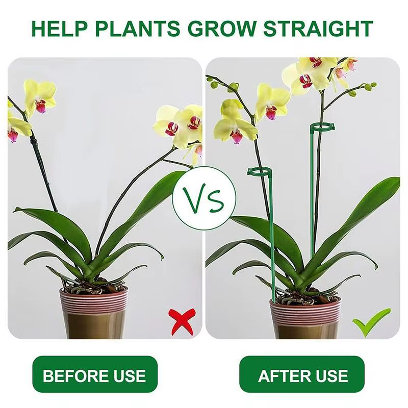 Piquets de Support pour plantes