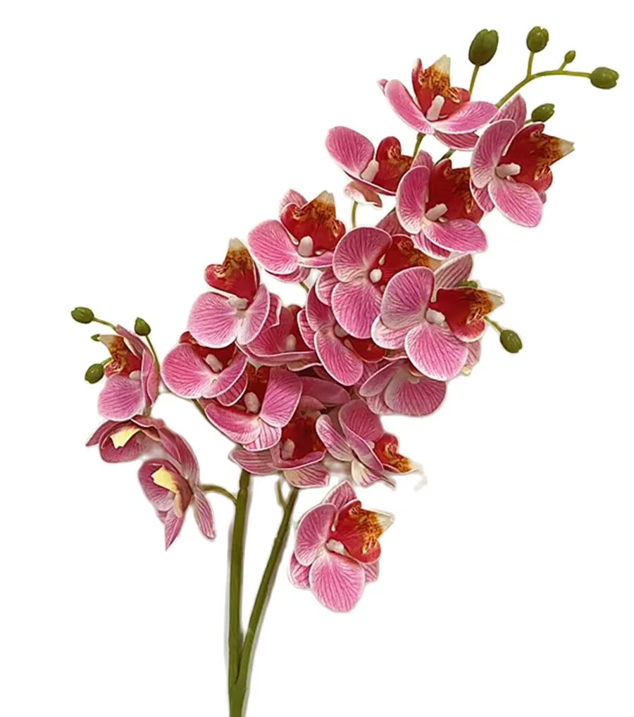 Fleurs d'orchidées papillon en Latex