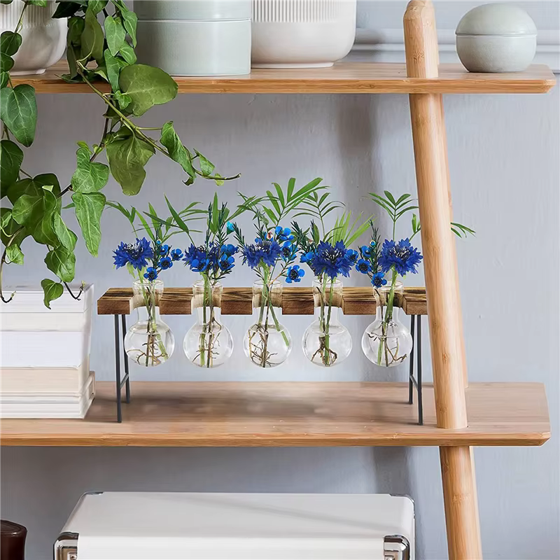2X Stations de propagation Terrarium de plantes d'air de bureau