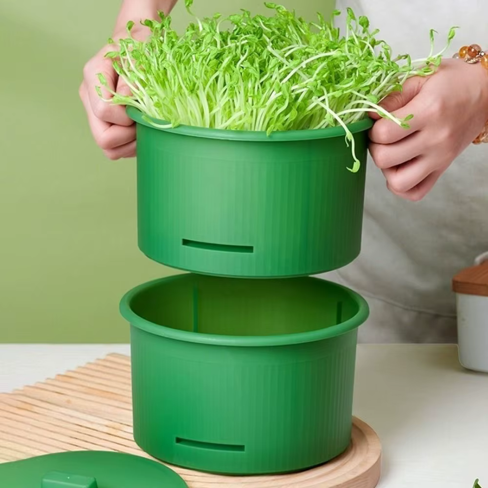 Pots de pépinière en plastique pour germes de haricots