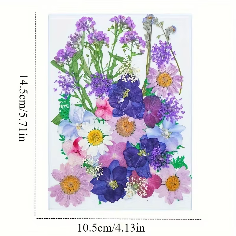 Fleurs pressées séchées pour moule en résine