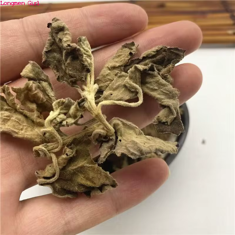 Patchouli séché naturel de haute qualité