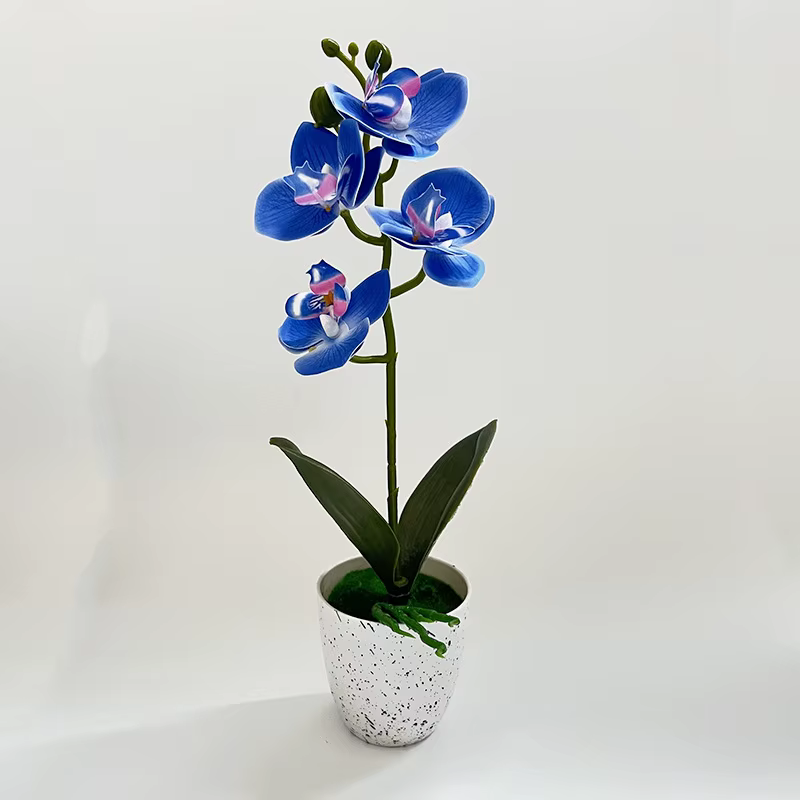 Orchidée Papillon – Ensemble de 4 fleurs en pot – Décoration de salon – Ornement en pot d'orchidée