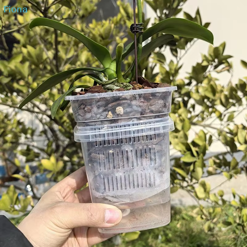 ✔ Pot à orchidées transparent avec drainage