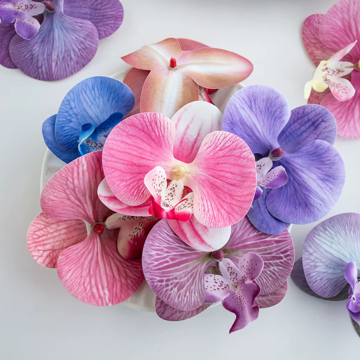 Orchidée papillon thaïlandaise